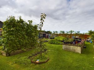 Vegetable Garden- click for photo gallery